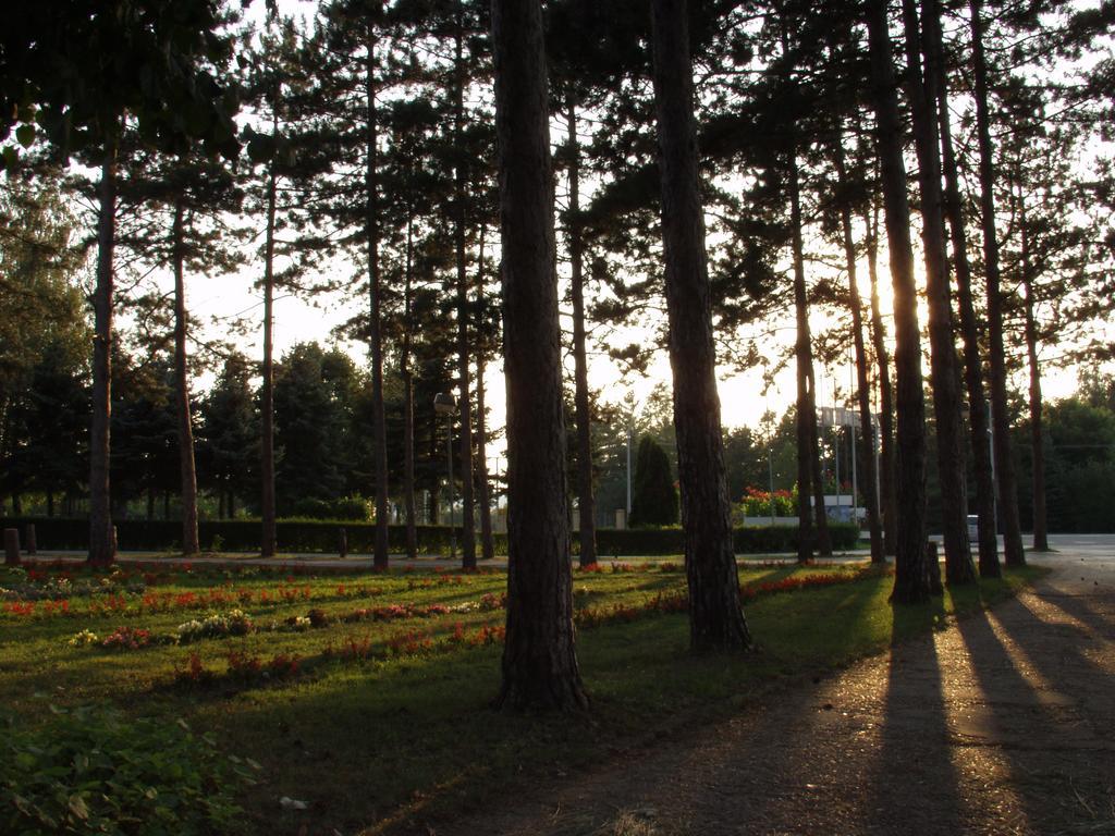 Hotel Ravni Gaj Knic Buitenkant foto